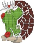 Arizona Heart Cactus (image for) Arizona Heart Cactus